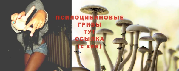 мяу мяу мука Волоколамск