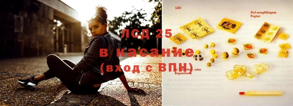 крисы Бородино