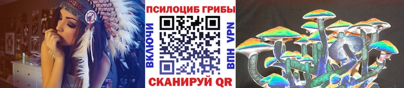 Псилоцибиновые грибы прущие грибы  Дмитриев 