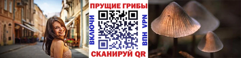 Псилоцибиновые грибы прущие грибы Дмитриев